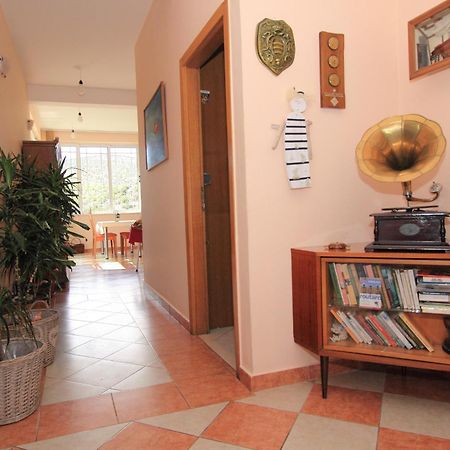 Vila Mozara Slano Extérieur photo