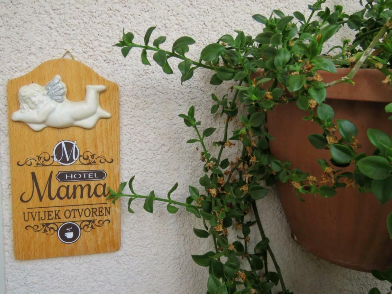 Vila Mozara Slano Extérieur photo