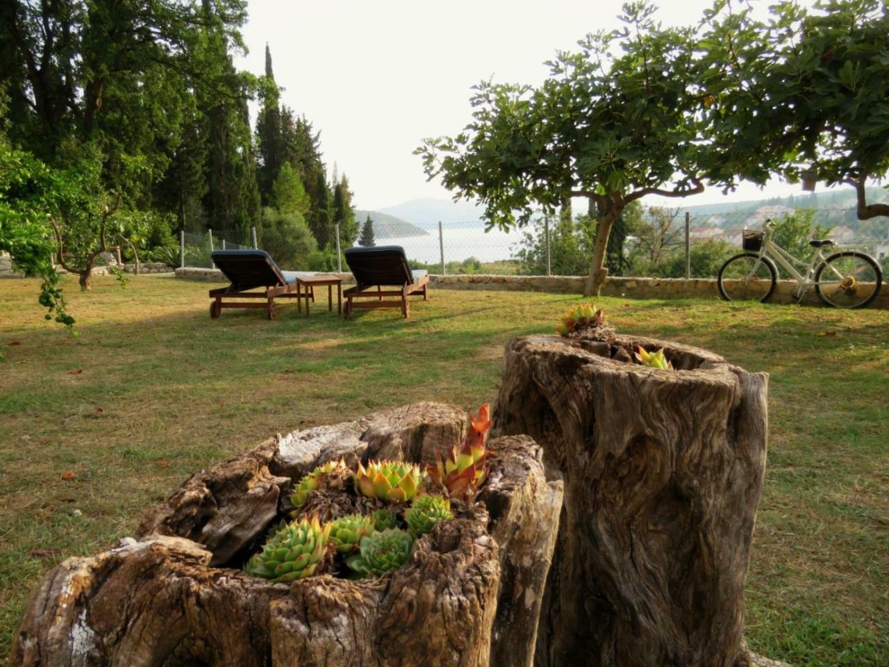 Vila Mozara Slano Extérieur photo