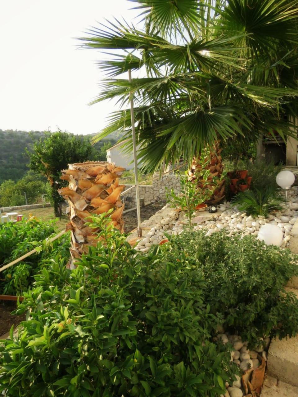 Vila Mozara Slano Extérieur photo