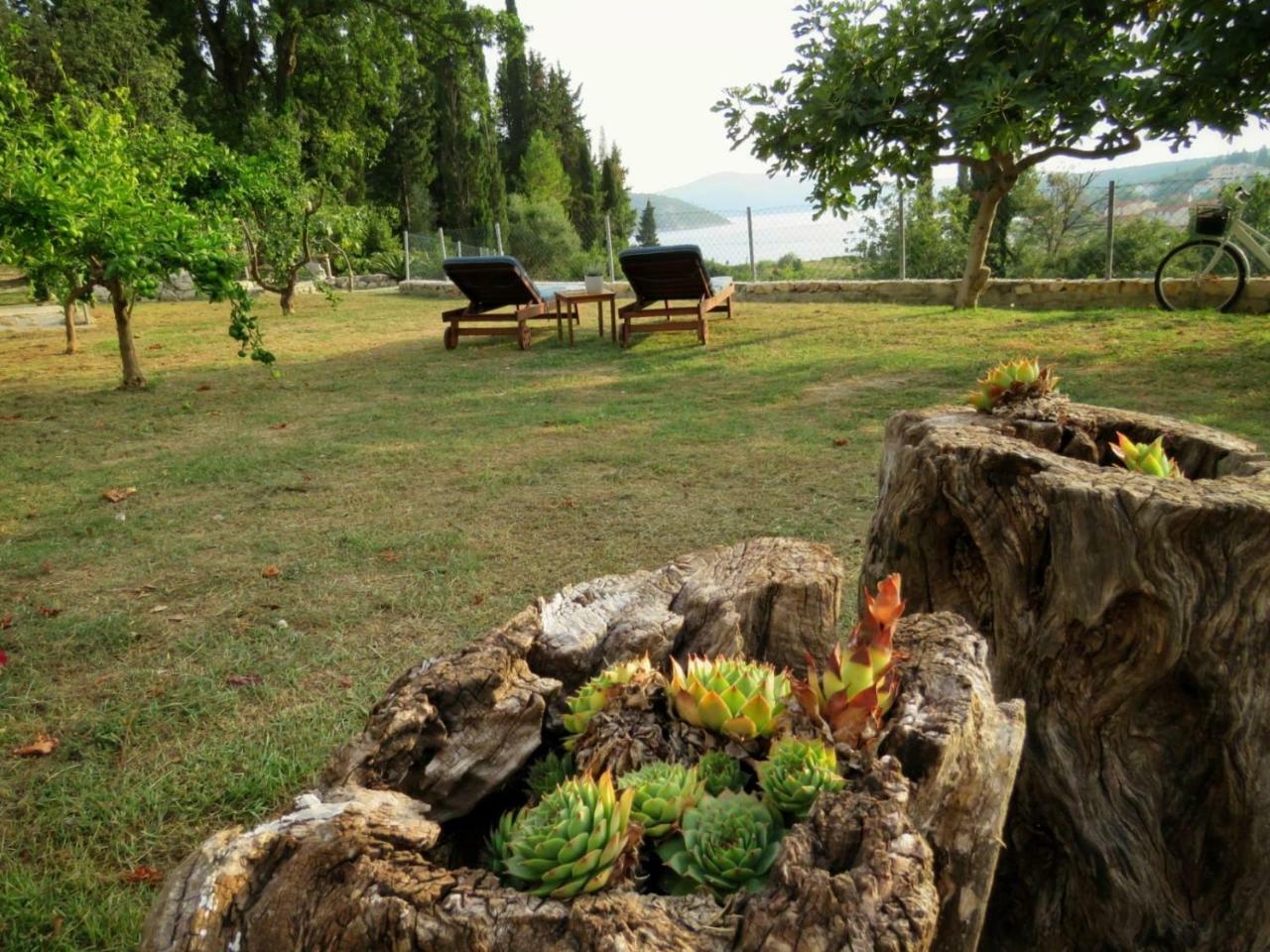 Vila Mozara Slano Extérieur photo